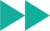 double triangles_teal Teal arrow icon